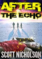 After the Shock: Echo
